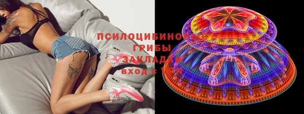 первитин Заводоуковск