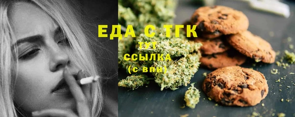 первитин Заводоуковск